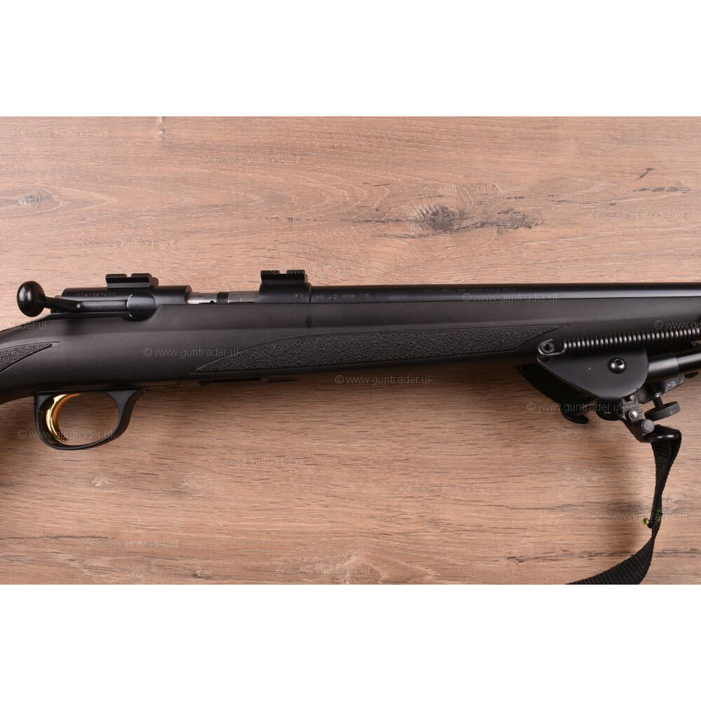.22 LR T Bolt Composite 
