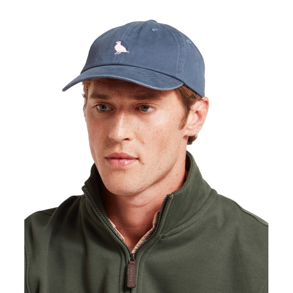 Colwell Cap Pigeon