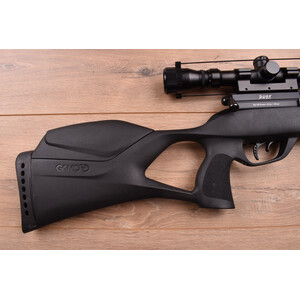 Gamo .22 Phox Package 